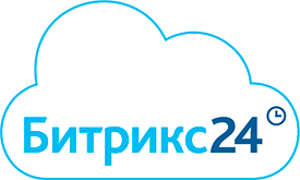 "Профессиональный"